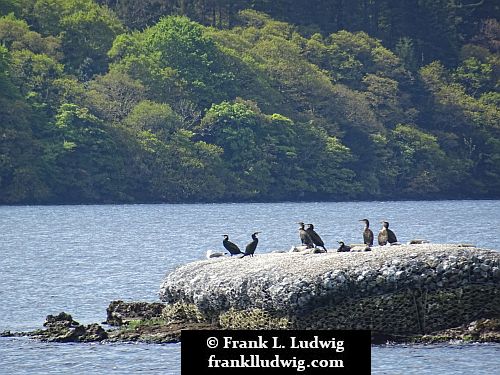 Lough Gill